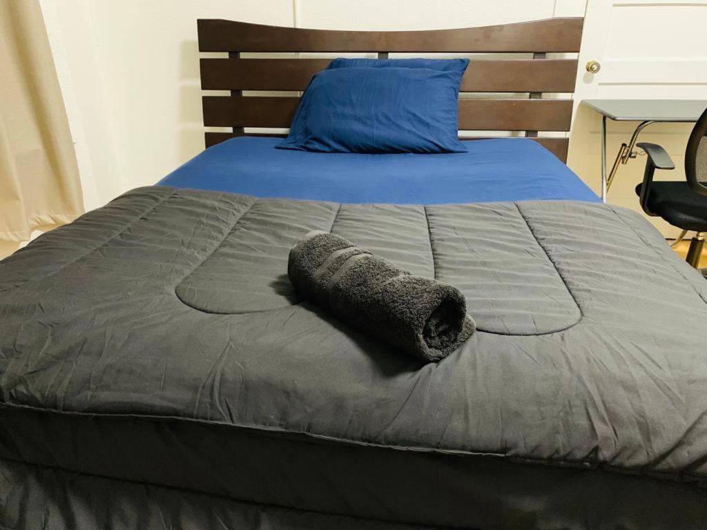 San Francisco Zen Home Экстерьер фото